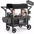 Sekey Luxer 6060 Bollerwagen faltbar mit Dach, Doppelsitz, 5-Punkt-Gurtsystem (FW153)