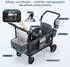 Sekey Luxer 6060 Bollerwagen faltbar mit Dach, Doppelsitz, 5-Punkt-Gurtsystem (FW153)