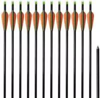 vidaXL Compoundbogen-Pfeile 30" 0,8 cm Fiberglas 12 Stk.