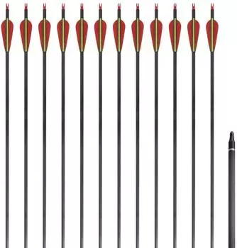 vidaXL Recurvebogen-Pfeile 30" Carbon 0,76cm, 12 Stk. (90857)