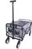 Linder Exclusiv Faltbarer Bollerwagen, grau (YW54259)