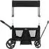Fillikid Oskar Bollerwagen faltbar, 2 Kinder, schwarz (98875262-0)