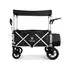 FUXTEC Bollerwagen FX-CTL900 faltbar, 5-Punkt-Gurte, Kühltasche, schwarz (FX-CTL900)