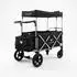 FUXTEC Bollerwagen FX-CTL900 faltbar, 5-Punkt-Gurte, Kühltasche, schwarz (FX-CTL900)