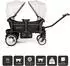 babyGO Cozy Rider Bollerwagen, faltbar, schwarz
