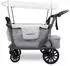 WONDERFOLD L2 Bollerwagen für 2 Kinder, grau (L2-GRY)