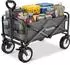 TecTake Bollerwagen Leon faltbar, grau, 80kg (Leon)