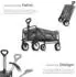 TecTake Bollerwagen Leon faltbar, grau, 80kg (Leon)