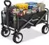 TecTake Leon faltbarer Bollerwagen mit Bremsen, 80kg, schwarz