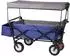 Woltu Bollerwagen faltbar mit Sonnenschutz, 80kg, blau (TW005blg)