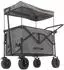 Kettler Bollerwagen EASY faltbar, grau, mit Bremse & Sonnenverdeck