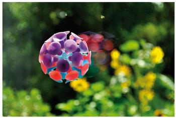 Eduplay Saugball (130142)