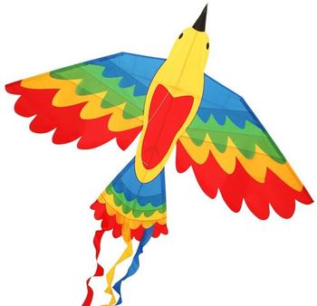 CIM Bird Drachen Rainbow