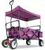 purpur: FUXTEC FX-CT350