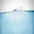 Fidlock Hermetic Dry Bag Multi wasserdichte Tasche, transparent
