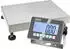 Kern & Sohn GmbH IXC Plattformwaage 60kg, Edelstahl-Auswertegerät (IXC 60K-2LM)