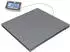 Kern & Sohn GmbH Bodenwaage 600kg, 0,2kg Ablesbarkeit (BFB 600K-1NM)