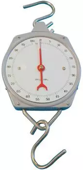 Berger & Schr&ouml;ter Zeigerschnellwaage analog, bis 100kg, Teilung 500g