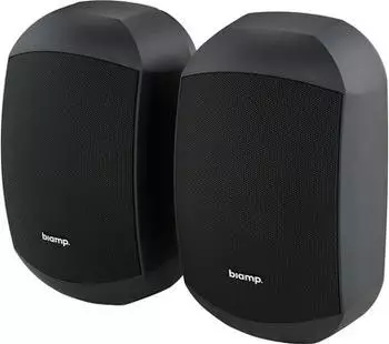Biamp Desono MASK6CT-BL 2-Wege Passivlautsprecher 150W IP64 (MASK6CT-BL)
