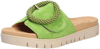 Gabor Mules with buckle (43.745) green