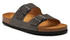 Scholl Julien