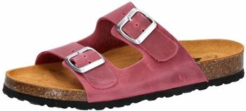 Lico Alvaro Lady (560604) lila