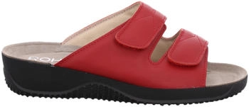 Rohde Soltau cherry