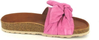 VERBENAS Roxy/Flamingo pink
