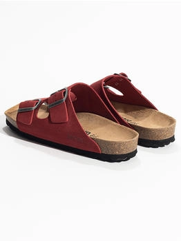 Bayton Atlas rot