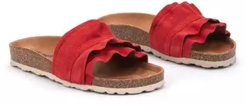 VERBENAS Rocio Roda rot