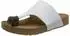 Haflinger Bio Andrea