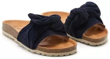 VERBENAS Roxy Roda blau