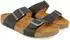 Haflinger 819079