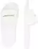 Calvin Klein Slide Monogram Wmns (YW0YW01835) bright white/anise flower