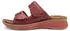 Ara Hawaii flame