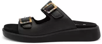 Ara Madeira schwarz