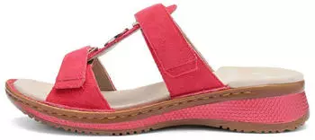 Ara HAWAII (18424724) beere