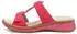 Ara HAWAII (18424724) beere