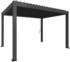 Rahmen: dunkelgrau-metallic / Dachlamellen: dunkelgrau-metallic: Biohort Pergola B 404,5 x T 312 x H 255 cm (Gr. 4x3)