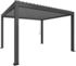 Rahmen: dunkelgrau-metallic / Dachlamellen: silber-metallic: Biohort Pergola B 404,5 x T 367,5 x H 255 cm (Gr. 4X3,5)