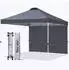 LuxusKollektion Faltpavillon 2x2m mit Seitenwand, wasserdicht, UV-Schutz, schwarz