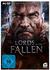 Bandai Namco Entertainment Lords of the Fallen: Limited Edition (PC)