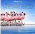 The Cinematic Orchestra - The Crimson Wing-Mystery Of The Flamingos (CD)