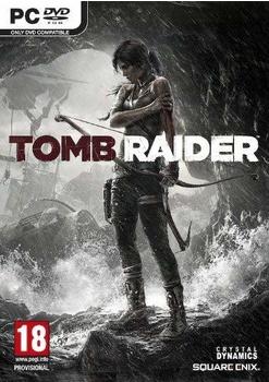 Eidos Tomb Raider (PC)
