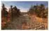 Real Warfare: 1242 (PC)