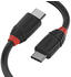 Lindy USB 3.2 Gen 2x2 0,5m (36905)