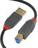 Lindy USB 3.0 A-B 5m (36744)