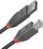 Lindy USB 2.0 A-B 7,5m (36676)