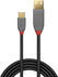 Lindy USB 2.0 A-C 2m (36887)