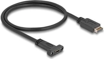 DeLock USB 3.2 Gen2 Typ-E Key A 20 Pin > USB-C (85526)